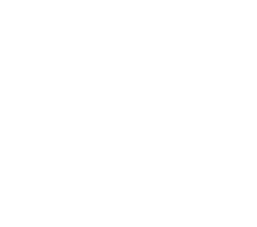 Alliance Capital Properties